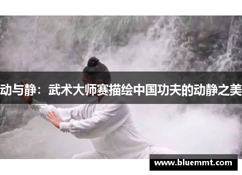 动与静：武术大师赛描绘中国功夫的动静之美