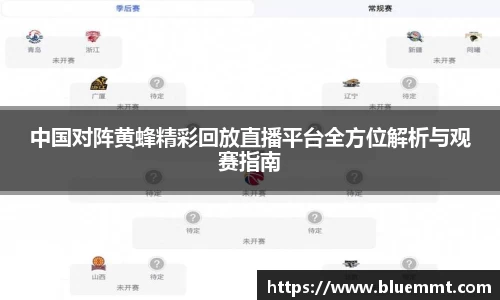 中国对阵黄蜂精彩回放直播平台全方位解析与观赛指南